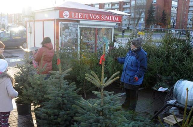 Gyvų eglių poreikis tik didėja