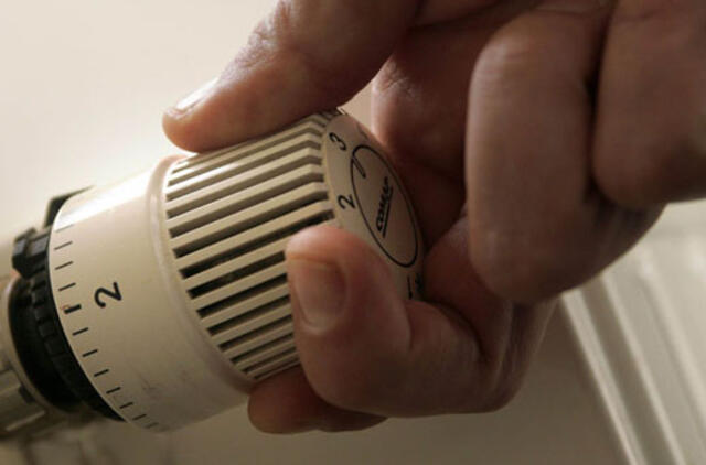 Renovacijos dienoraštis (22)