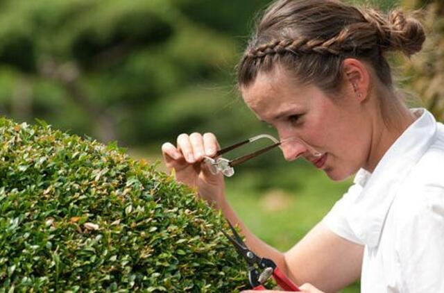 Daug žinosi - mažai matysi