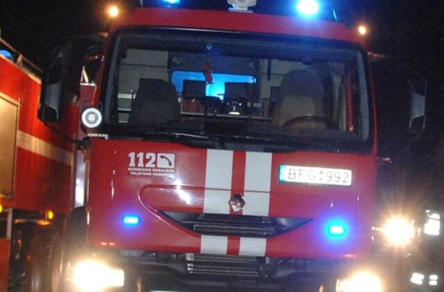 Šiemet ugnyje žuvo 29 žmonės