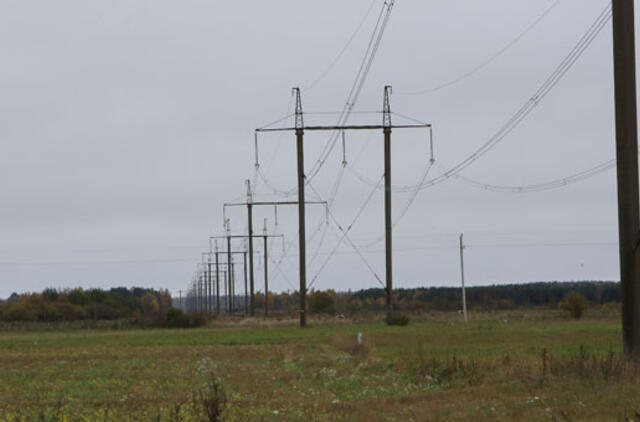Dėl vėjo regione be elektros liko 1,7 tūkst. vartotojų
