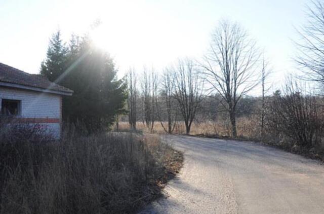 Nauja gatvė pareikalaus miško