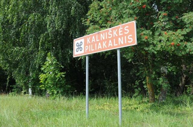 Kalniškės piliakalnį tvarkys toliau