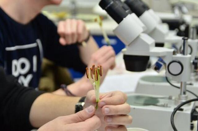 Projektas "Iškeisk pamoką į paskaitą" į Klaipėdos universitetą vėl sukvies šimtus moksleivių