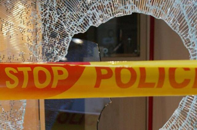 Vagystės Klaipėdoje persikraustė į prekybos centrus