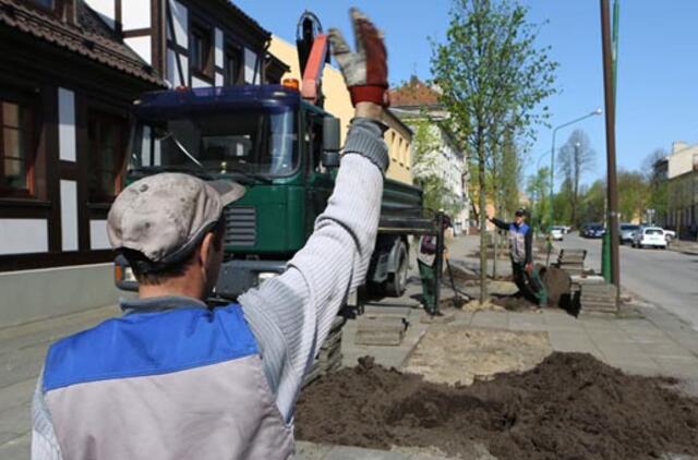 Žaliojo miesto apdaro rebusai