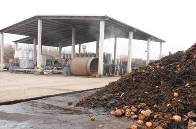 Kada subręs "Brandos" tyrimas?