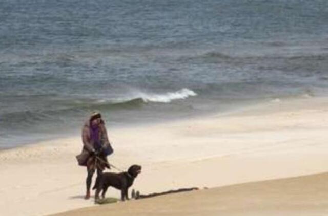Palangos politikai pamiršo šunų paplūdimių idėją