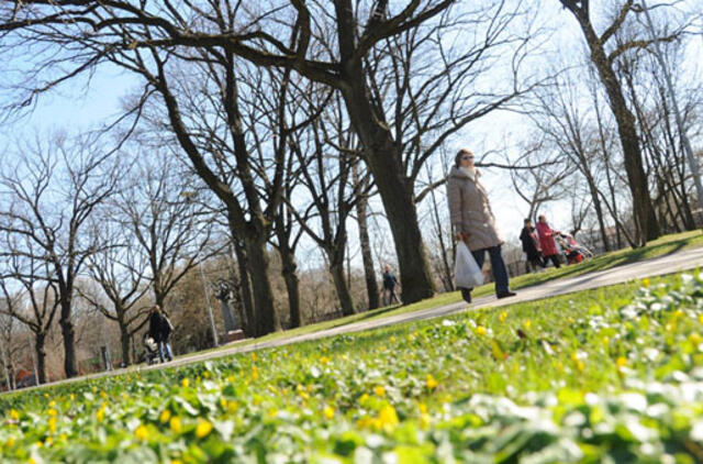 Uostamiestyje statys dar vieną skulptūrą