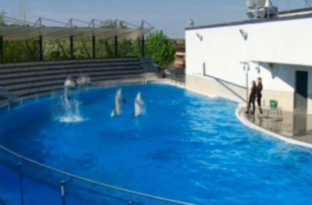 Delfinariume atidarytas baseinas po atviru dangumi