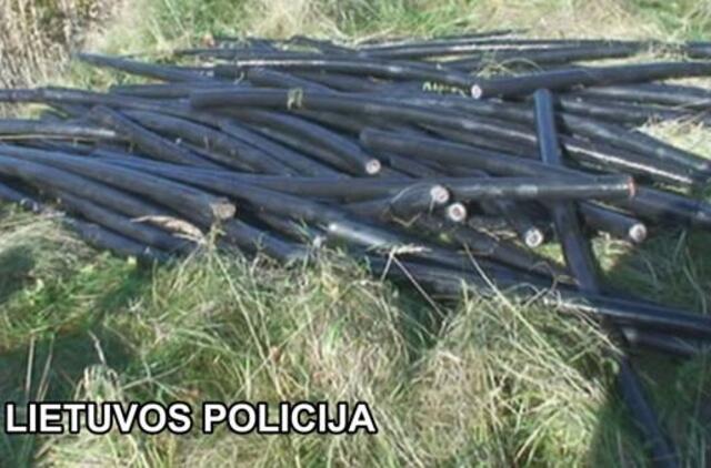 Elektros kabelio vagystės organizatorius - už grotų