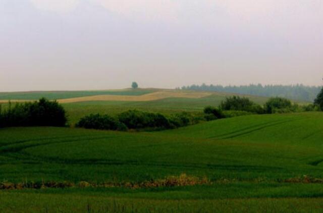 EK liepia palengvinti žemės pardavimą užsieniečiams