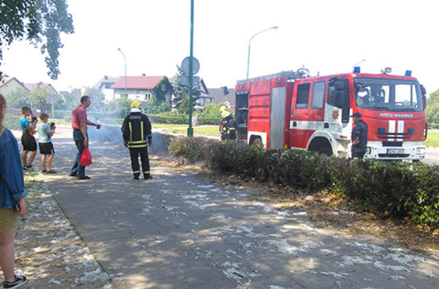 Žiedinėje sankryžoje užsidegė gyvatvorė