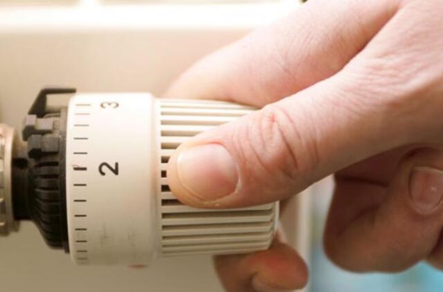 Renovacijos dienoraštis (28)