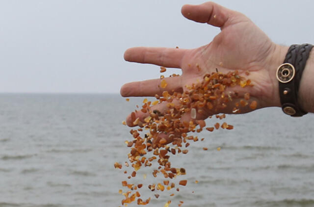 Gintaro kasimas nieko nebedomina