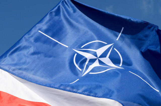 NATO viršūnių susitikime - Lietuvos ir Baltijos regiono saugumui svarbūs sprendimai