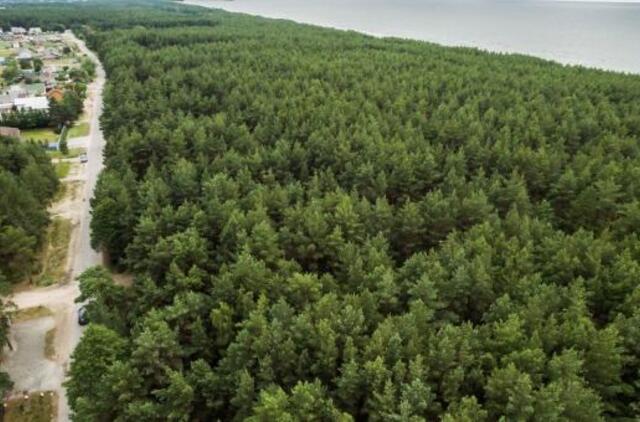 Palangos planai sukėlė tikrą audrą