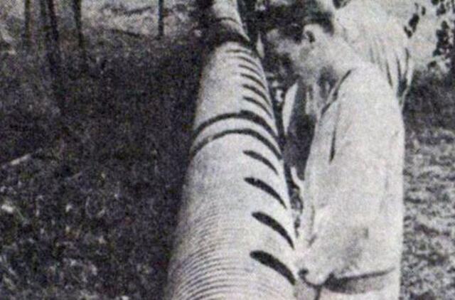 "Vakarų ekspresas". 1991 07 30