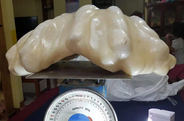 Filipinuose rastas galbūt rekordinio dydžio perlas
