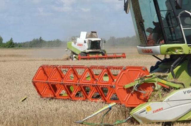 Giedra atnaujino javapjūtę