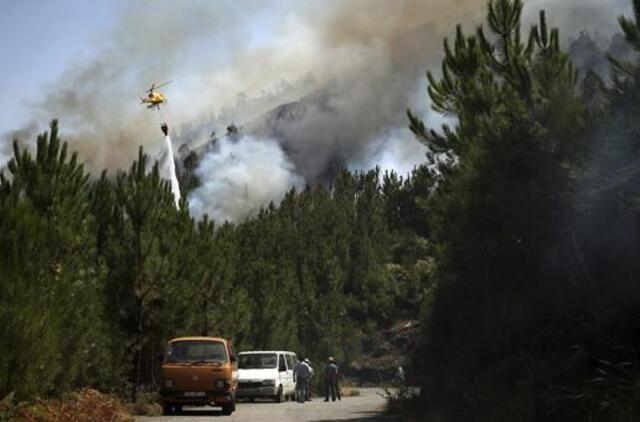 Miškų gaisrai Portugalijoje persimetė į pietinę dalį bei atostogautojų pamėgtą Madeirą