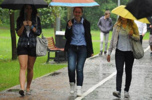 Prasidėjo vėsių vasarų ciklas?