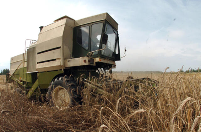 ŽŪM: derlius - ne rekordinis, bet šalies reikmėms užteks