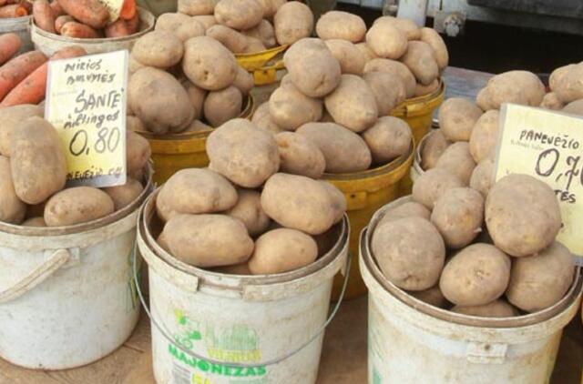 Bulvės pigiausios stacionariose turgavietėse, daržovės - prekybos centruose