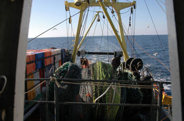 Lietuvai didėja strimelių ir šprotų žvejybos kvotos