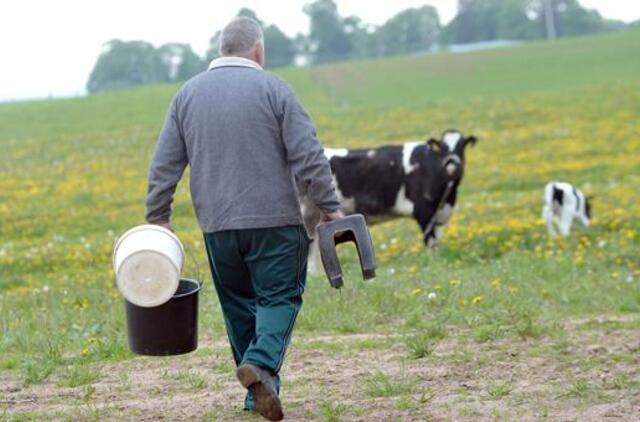 Šalies ūkininkai už natūralų pieną jau gauna europinę kainą