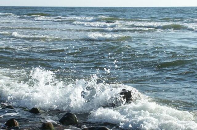 Atrado akmens amžiaus žvejybos įrenginio liekanas