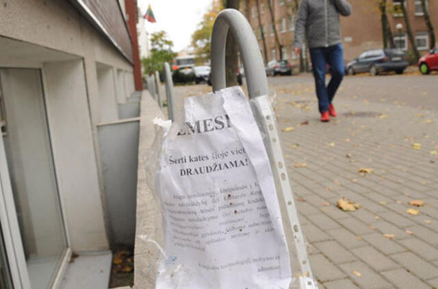 Dėl kačių - konfliktas su mokykla