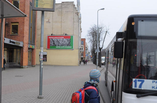 Pigesni bilietai pradinukams: idėja skinasi kelią