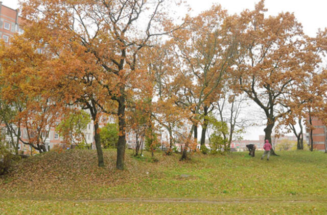 Ant užmirštų protėvių kapų