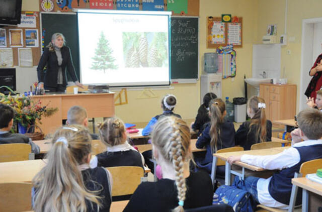 Mokys pažinti medžius