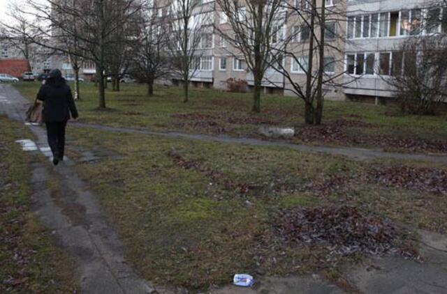 Klaipėdiečius piktina rudens "gėrybės"
