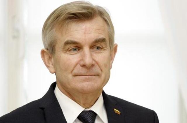 Seimo Pirmininkas: kartais ir lubos įlūžta