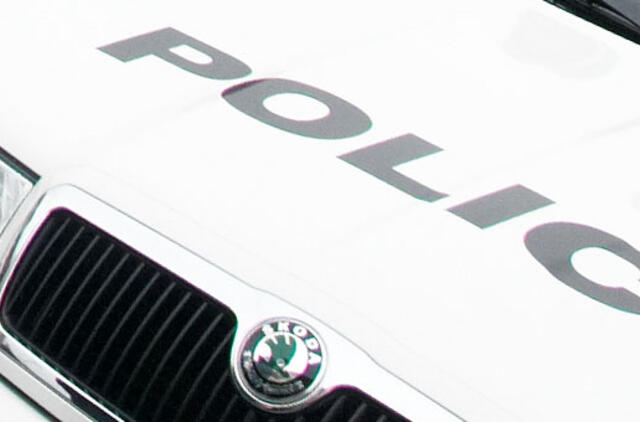 Pareigūnas kliudė pėsčiųjų perėja ėjusią merginą