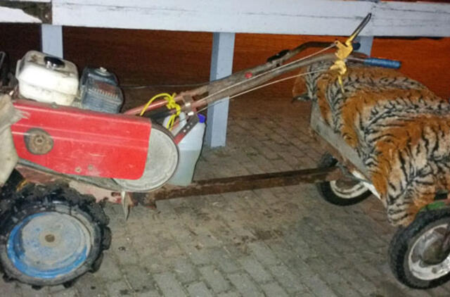 Rusų porelė sieną pažeidė „motobloku"