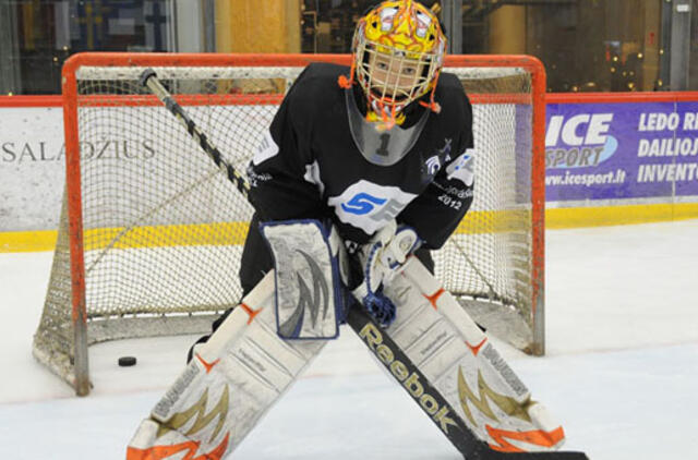 Šalia ledo arenos norėtų ir rankinio salės