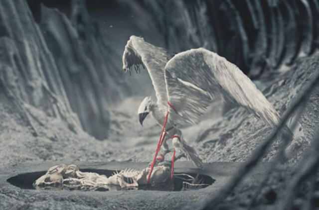 Tarptautiniame festivalyje - „Piktųjų paukščių” autoriaus vizitas ir dešimtys filmukų