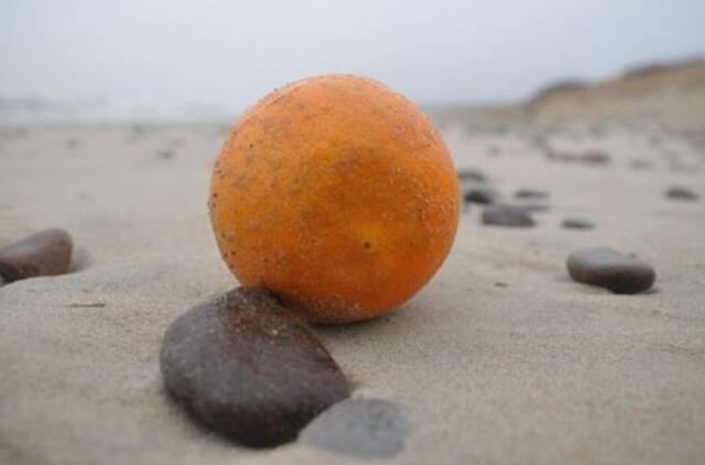 Vaisiai ir daržovės paplūdimyje uždavė mįslių