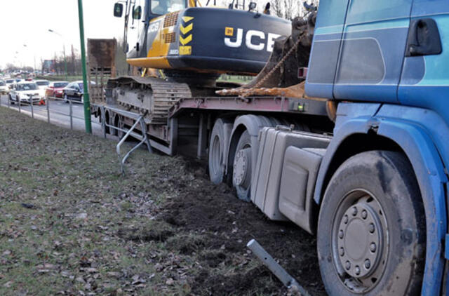 Vilkikas sumaitojo atitvarus