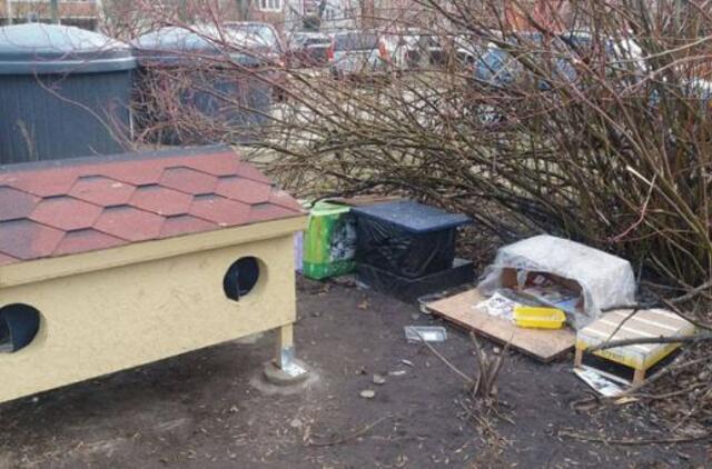 Bulvaras: Kotedžai katėms