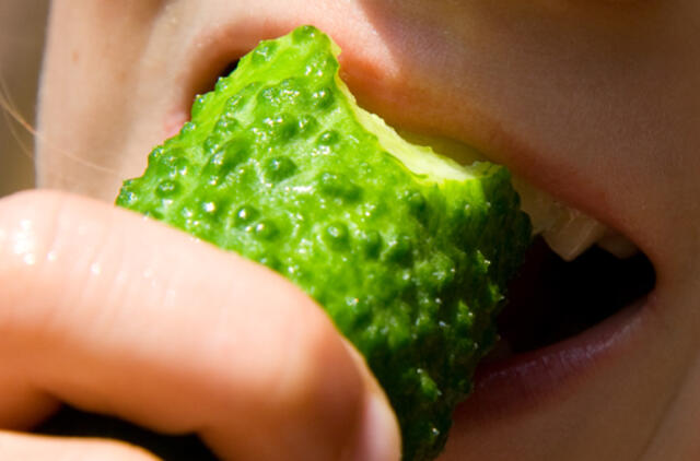 Kokiais mitybos principais vadovautis žiemą