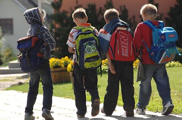 Lietuvoje formuojasi alternatyvi globos sistema