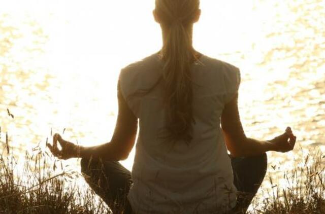 „Medituojančios pelės“ atskleidžia meditacijos naudą kovojant su nerimu
