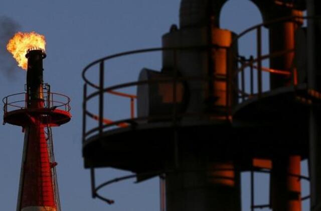 OPEC kilo nerimas po žinių apie JAV skalūnų atsargas