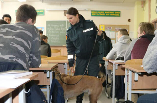 Šunys patikrino Klaipėdos moksleivių kuprines (video)