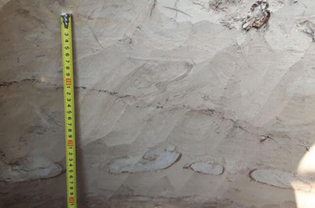 Aptiktos seisminės žymės netoli Vilniaus rodo, kad Lietuvoje būta žemės drebėjimų